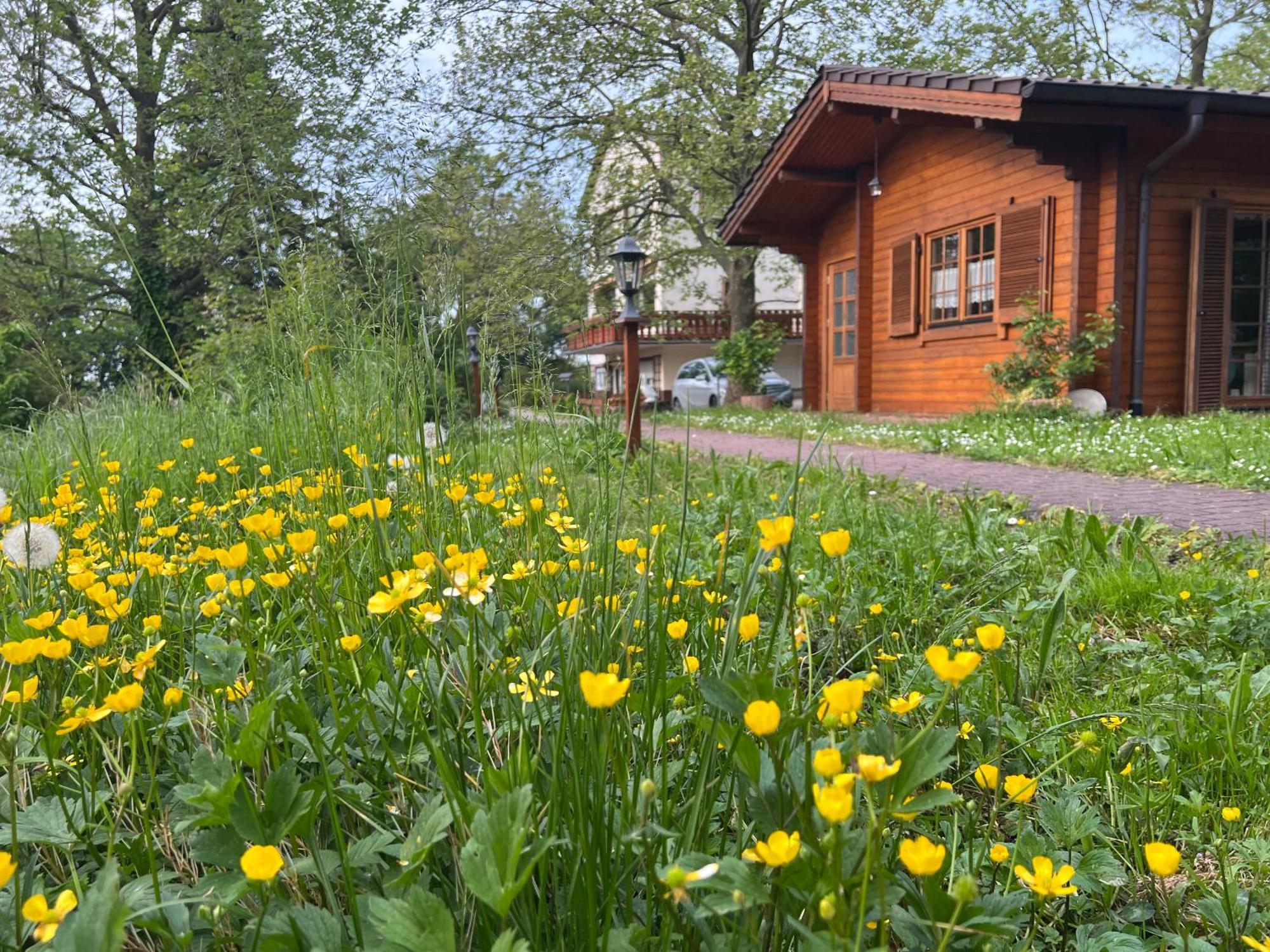 Landgasthof Gaensberg Wiesloch Exterior foto